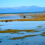 Cove East along the Upper Truckee River where it opens into Lake Tahoe is an ongoing project for CTC. Photos/Kathryn Reed
