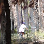 ride-1 Sue Wood rides through the burned forest of Gardner Mountain. Photos/Kathryn Reed