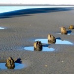 coast Northwest ocean beaches provide plenty of space to stroll.