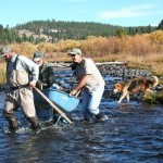 truckee river Working during teh 2009 cleanup day. Photo/Debborah Urich