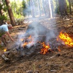 fire-1-150x150 Michael Lipkin keeps an eye on the Oc. 15 arson fire in Washoe Meadow State Park. Photo/Lynne Paulson