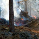 fire-3 A control burn Nov. 18 at Fallen Leaf Lake. Photos/Kathryn Reed