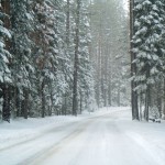 highway 89 Forecast -- Highway 89 about to even whiter. Photo/Kathryn Reed