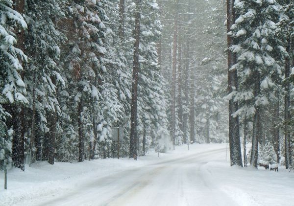 Single digits, snow to continue
