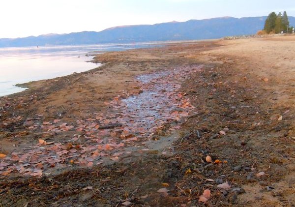 Report: Climate change will drastically alter Lake Tahoe