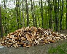 Wood cutting permits in TNF available