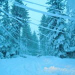 power lines Sagging and downed power lines were the norm Wednesday in Tahoe. Photo/Kathryn Reed