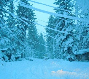 Sagging and downed power lines in Tahoe. Photo/LTN file