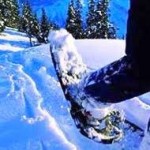 snowshoe