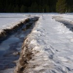 Deep ruts in Washo Meadow park from a tree-thinning project. Photos/Provided