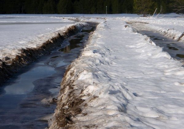 Vehicles leave significant traces in Washoe Meadow park