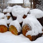 This people may be wishing they'd split this wood based on the forecast. Photo/Kathryn Reed