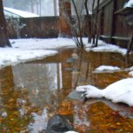 flooding More backyards in Tahoe may flood if predictions come true. Photo/Kathryn Reed