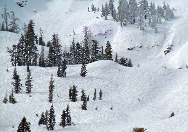 Alpine Meadows understands what true skiers want