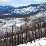 The burn area from Angora Ridge on Feb. 13. Photo/Kathryn Reed