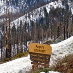 The Angora burn area from the ridge. Photos/Kathryn Reed