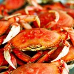 crab