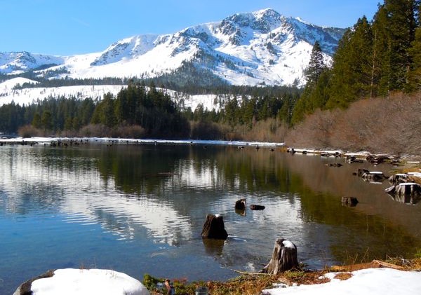 Fallen Leaf Lake contends with liquor, voter fraud issues