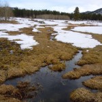 rabe-3 Rabe Meadow in Stateline is worth visiting year-round. Photos/Kathryn Reed
