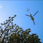A helicopter April 28 removes cut trees from the Lake Christopher area. Photos/Kathryn Reed