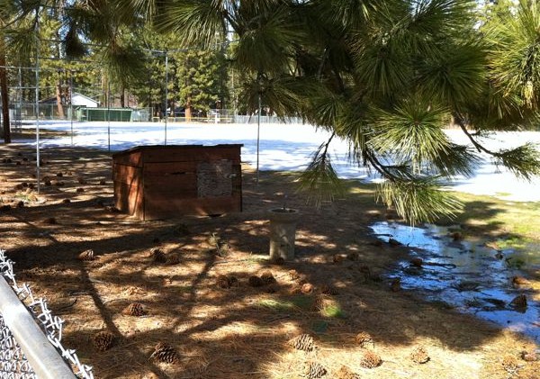 New South Shore recreation measure slides into first base