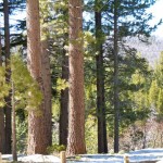 lot This is the view from Russell Paul's residence. Photo/Kathryn Reed