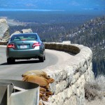 Highway 50 over Echo Summit will be closed May 11 for 10 solid days. Photos/Kathryn Reed