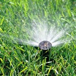 sprinkler