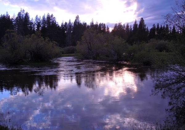 Trout Creek extends well beyond its banks