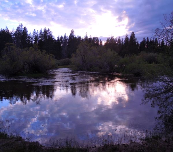 Trout Creek extends well beyond its banks Lake Tahoe NewsLake Tahoe News