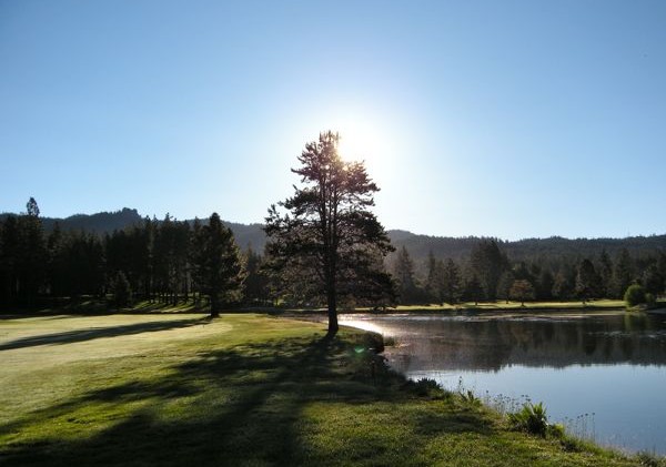 Parks turn Tahoe cattle land into casino, golf course