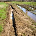 tahoe city-2 Tire ruts will become hard and "permanent" as the water recedes.