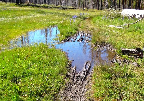 Flood threat remains in Tahoe; trails covered in water