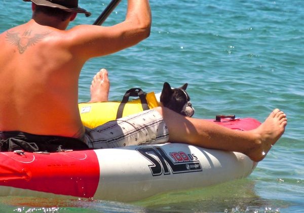 A day at the beach Lake Tahoe style
