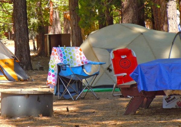 Plan to reduce congestion, upgrade Camp Rich campsites