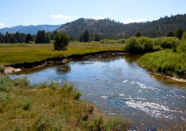 USFS’ fish testing puts Upper Truckee River off-limits