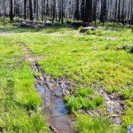 trail 07-12-28