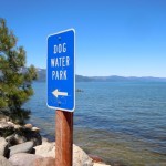 There is no sand for dogs to romp on at Regan Beach in South Lake Tahoe. Photo/LTN