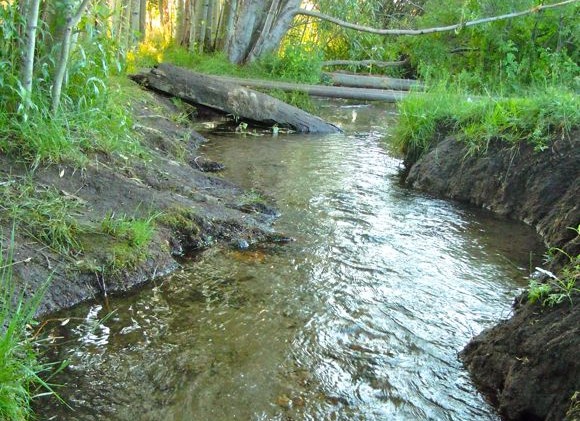 Burke Creek, Rabe Meadow plans moving forward