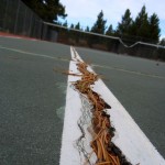 court-1 Pine needles fill in the lines at Tahoe Paradise tennis courts in November 2010.