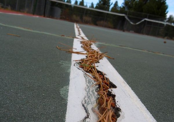 Not all Shore Shore rec measure officials kept in loop