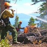 A controlled burn on the West Shore. Photo/Lisa Herron/USFS