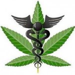 pot