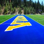 sths-2 Viking Stadium looks nothing like it did just two months ago.