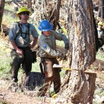 vets-2 Gabe Foster of the USFS, left, watches veteran John Gallagher on Aug. 31 fell a tree.