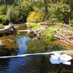 boom Booms and absorbant sheets pick up the oil in Taylor Creek.