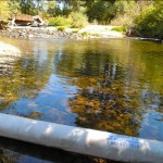 Booms in Taylor Creek are scheduled to be removed Sept. 23. Photo/LTN