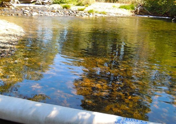 Taylor Creek spill almost completely cleaned up