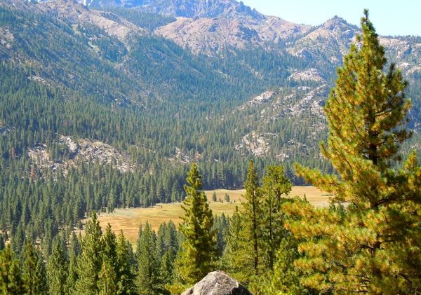 ‘Back yard’ camping trip opens up new terrain
