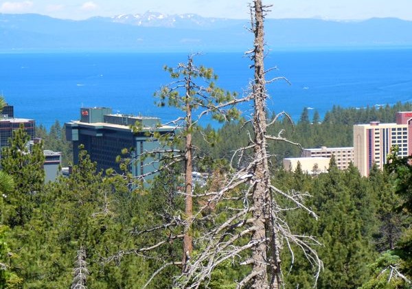 Stateline casinos rake in the cash in July